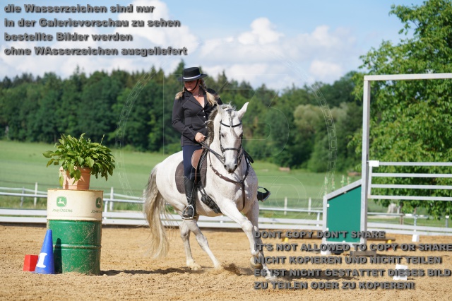 s_K3F04942.JPG